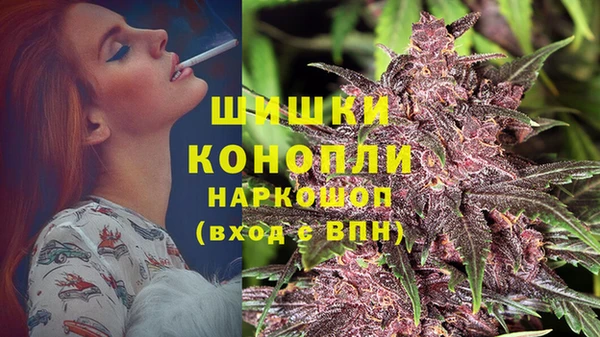 трава Баксан